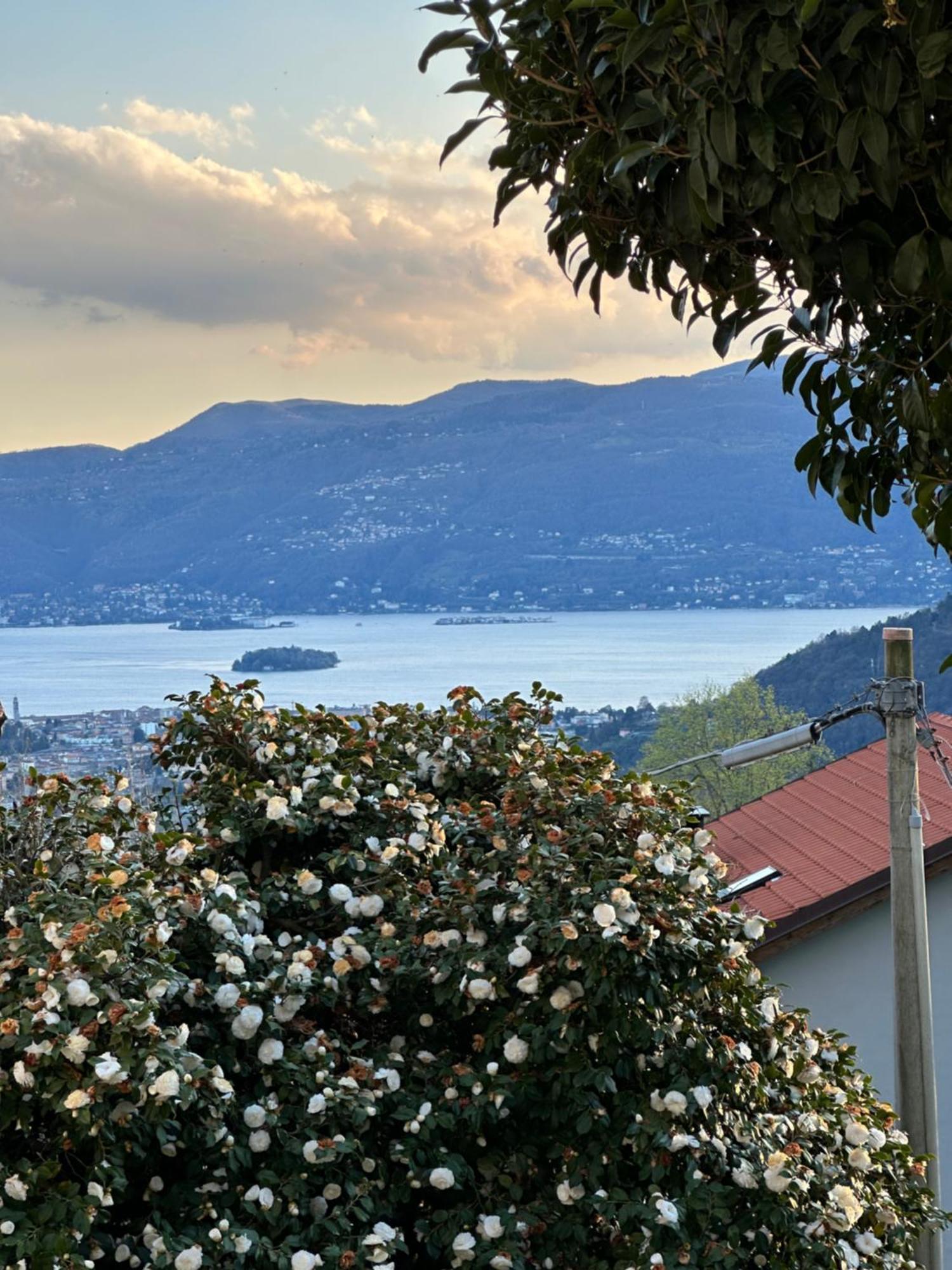 Villa Simonetta Bee Екстер'єр фото